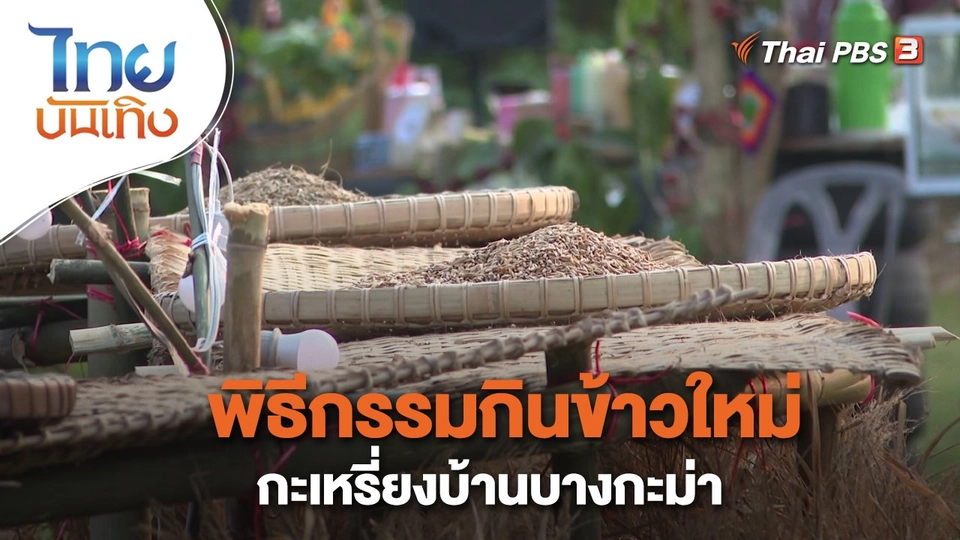 เรื่องนี้มีตำนาน : พิธีกรรมกินข้าวใหม่กะเหรี่ยงบ้านบางกะม่า