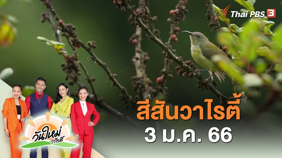 สีสันวาไรตี้ (3 ม.ค. 66)