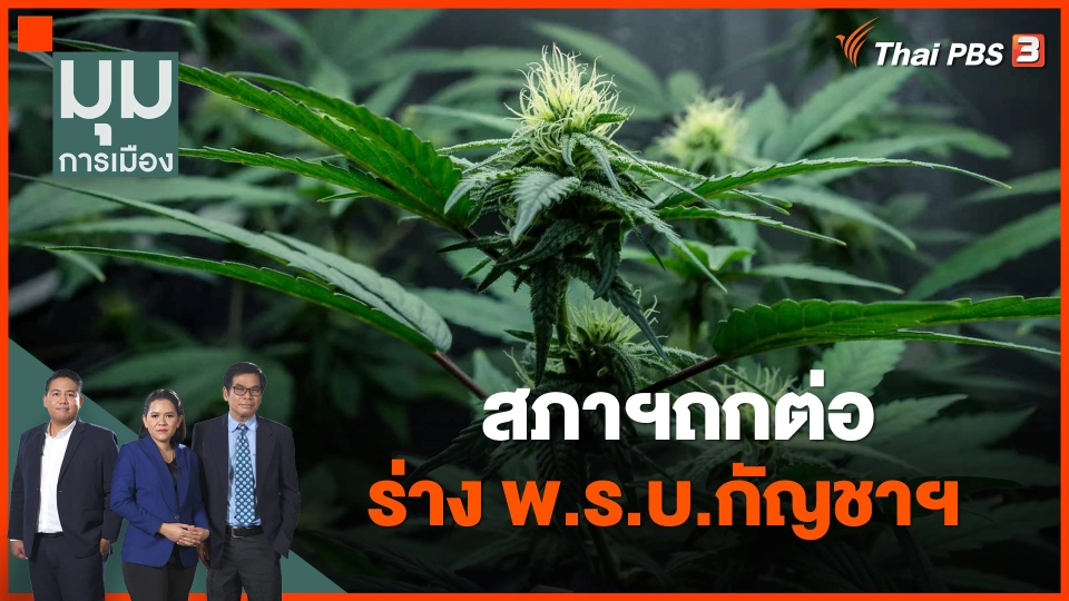 สภาฯถกต่อ ร่าง พ.ร.บ.กัญชาฯ