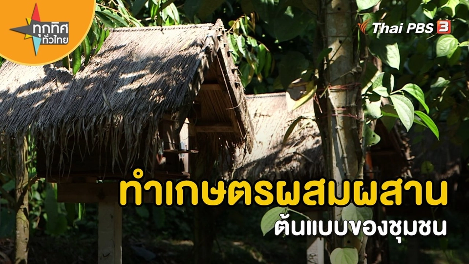 ​อาชีพทั่วไทย : ทำเกษตรผสมผสานต้นแบบของชุมชน