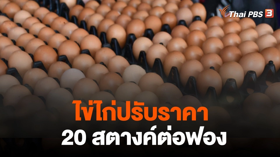 ไข่ไก่ปรับราคา 20 สตางค์ต่อฟอง