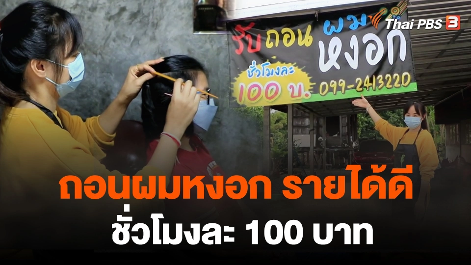 ถอนผมหงอก ชั่วโมงละ 100 บาท ลงทุนน้อย รายได้ดี