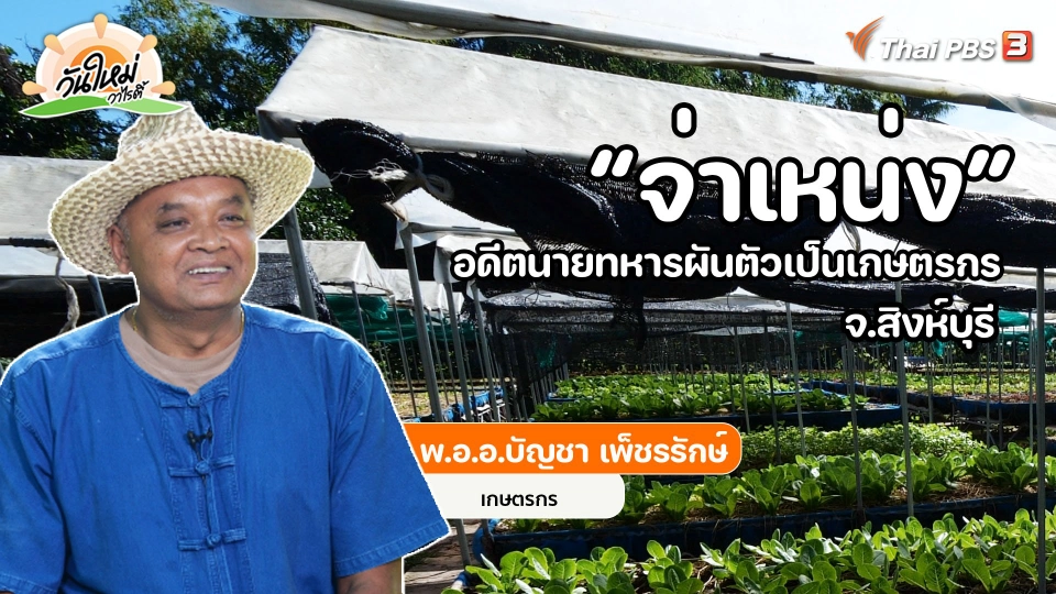 พอดีพอเพียง : อดีตนายทหารผันตัวเป็นเกษตรกรอินทรีย์ จ.สิงห์บุรี