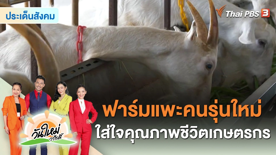 ประเด็นสังคม : ฟาร์มแพะคนรุ่นใหม่ ใส่ใจคุณภาพชีวิตเกษตรกร