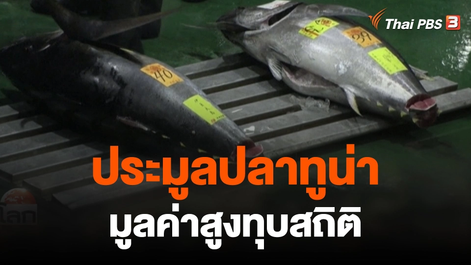 ประมูลปลาทูน่ามูลค่าสูงทุบสถิติ