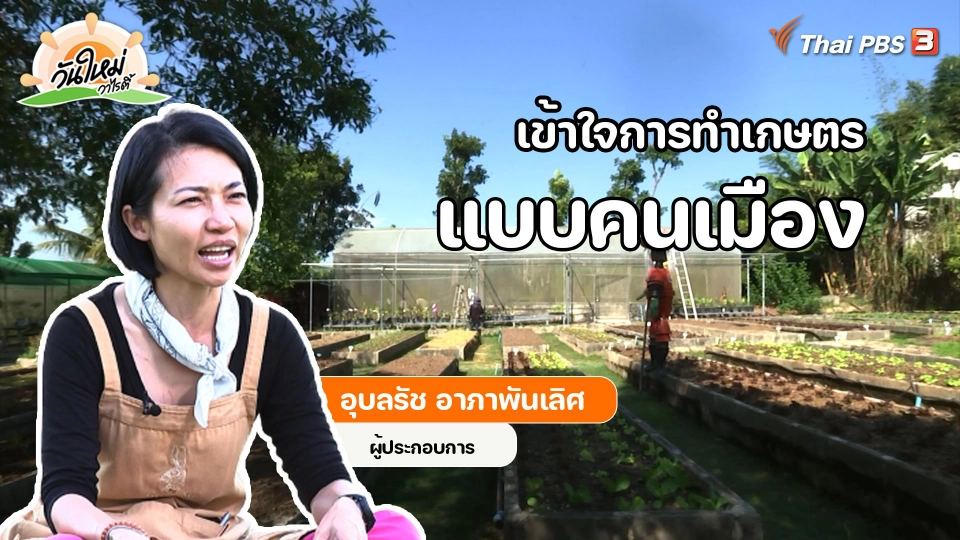 พอดีพอเพียง : เข้าใจการทำเกษตรแบบคนเมือง