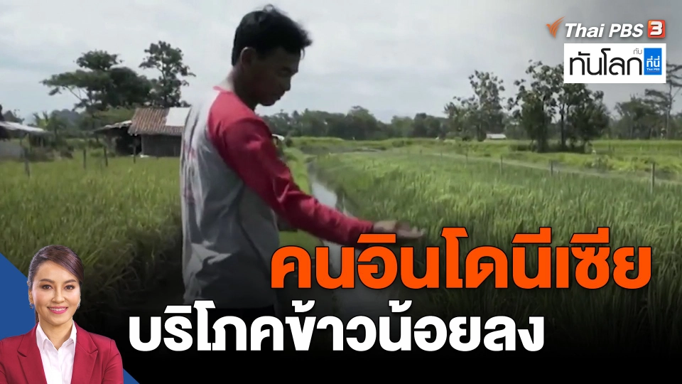 ​Asean Connect : คนอินโดนีเซียบริโภคข้าวน้อยลง