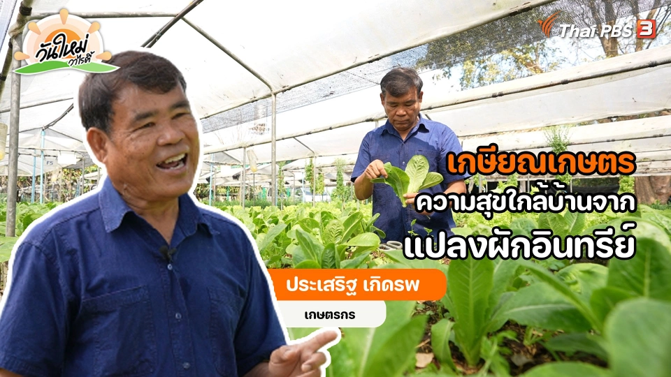 พอดีพอเพียง : เกษียณเกษตร ความสุขใกล้บ้านจากแปลงผักอินทรีย์