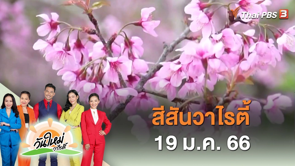 สีสันวาไรตี้ (19 ม.ค. 66)