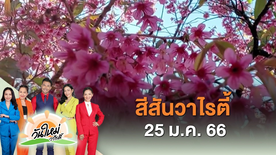 ​สีสันวาไรตี้ (25 ม.ค. 66)