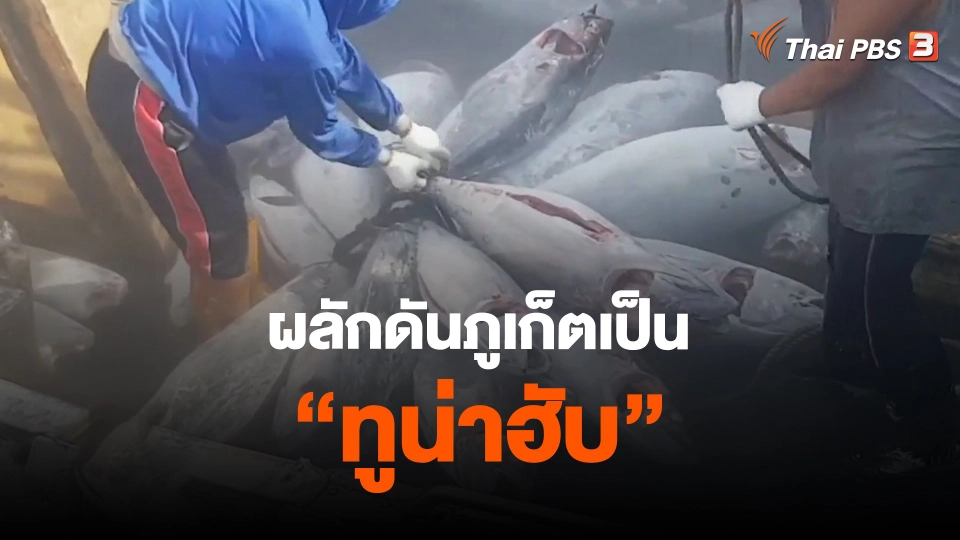 ​ผลักดันภูเก็ตเป็น " ทูน่าฮับ "