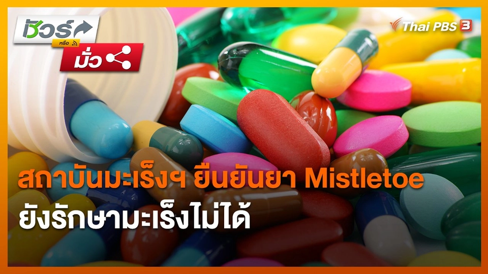 ​ชัวร์หรือมั่ว : สถาบันมะเร็งฯ ยืนยันยา Mistletoe ยังรักษามะเร็งไม่ได้