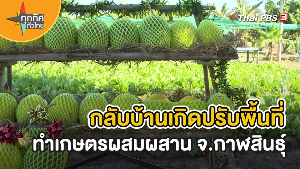 อาชีพทั่วไทย : กลับบ้านเกิดปรับพื้นที่ทำเกษตรผสมผสาน จ.กาฬสินธุ์