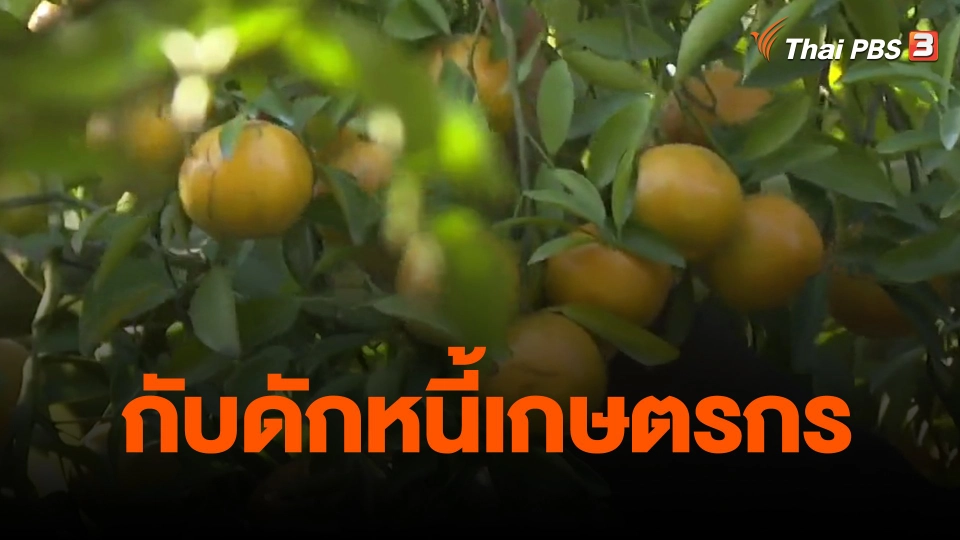​จับสัญญาณเศรษฐกิจ : กับดักหนี้เกษตรกร