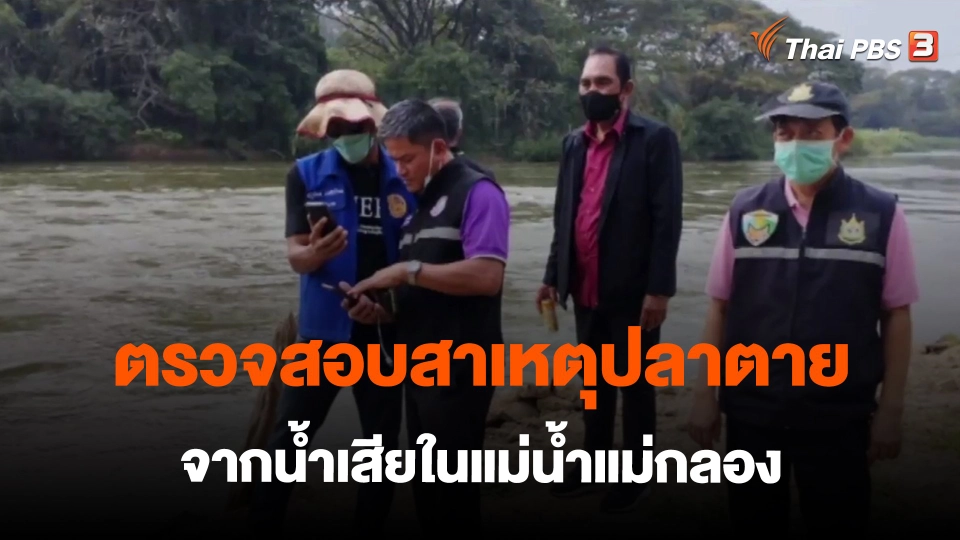 ​ตรวจสอบสาเหตุปลาตายจากน้ำเสียในแม่น้ำแม่กลอง