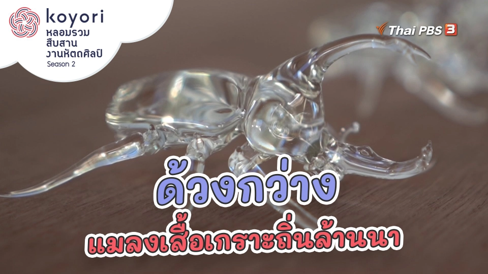 "ด้วงกว่าง" แมลงเสื้อเกราะถิ่นล้านนา