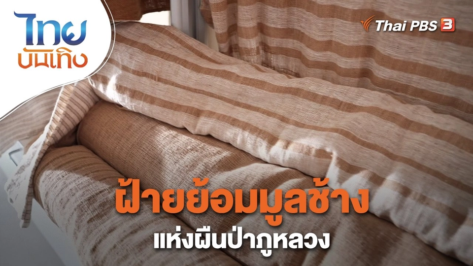 ​หัวใจในลายผ้า : ฝ้ายย้อมมูลช้างแห่งผืนป่าภูหลวง