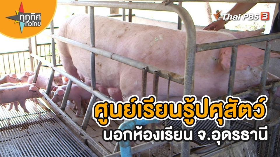 อาชีพทั่วไทย : ศูนย์เรียนรู้ปศุสัตว์นอกห้องเรียน จ.อุดรธานี