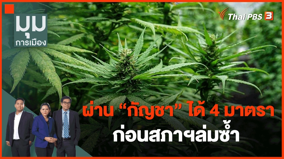 ​ผ่าน "กัญชา" ได้ 4 มาตรา ก่อนสภาฯล่มซ้ำ