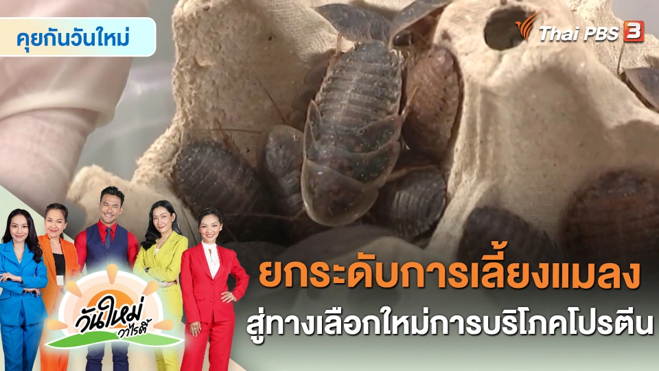 คุยกันวันใหม่ : ยกระดับการเลี้ยงแมลง สู่ทางเลือกใหม่การบริโภคโปรตีน