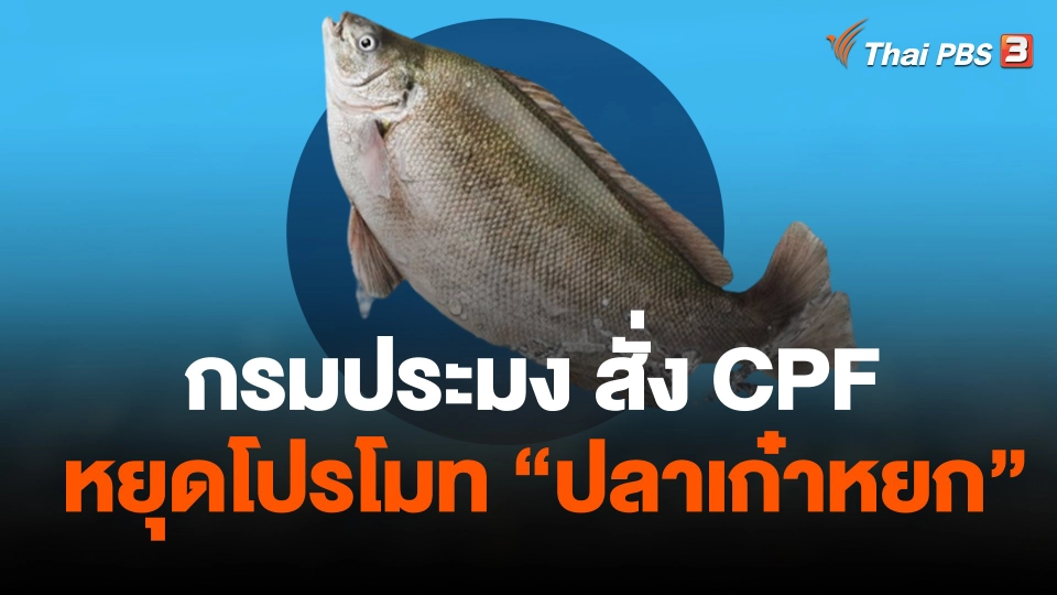 กรมประมง สั่งซีพีเอฟ หยุดโปรโมท ปลาเก๋าหยก