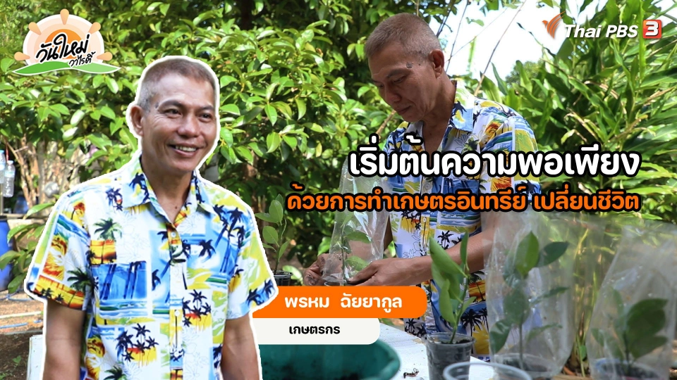 พอดีพอเพียง : เริ่มต้นความพอเพียง ด้วยเกษตรอินทรีย์ เปลี่ยนชีวิต