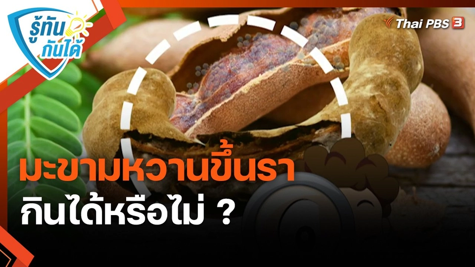 รู้ทันกันได้ : มะขามหวานขึ้นรา กินได้หรือไม่ ?