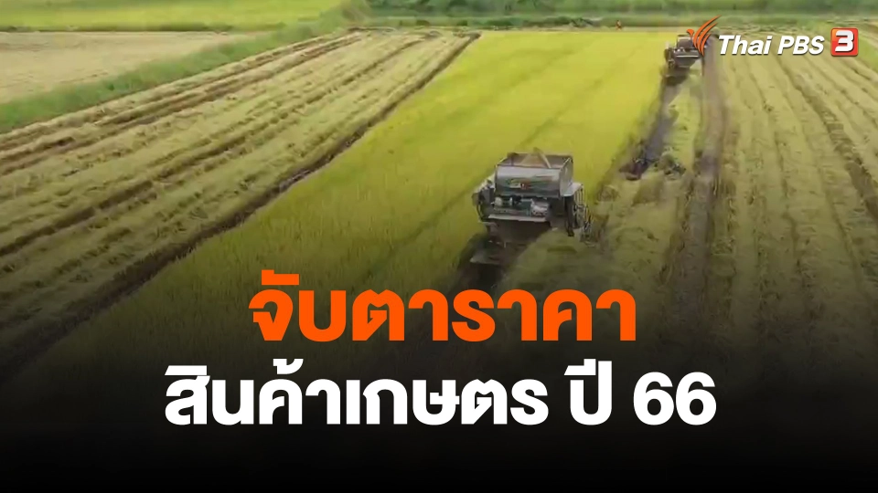 จับสัญญาณเศรษฐกิจ : จับตาราคาสินค้าเกษตร ปี 66