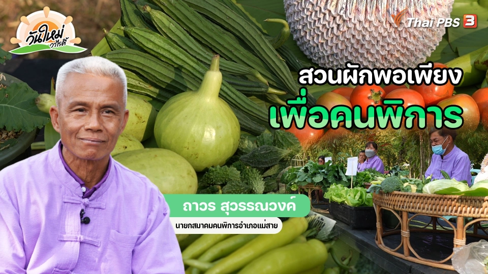 พอดีพอเพียง : สวนผักพอเพียงเพื่อคนพิการ จ.เชียงราย