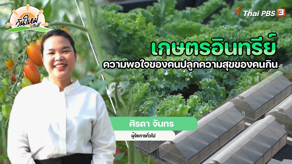 พอดีพอเพียง : เกษตรอินทรีย์ ความพอใจของคนปลูกความสุขของคนกิน