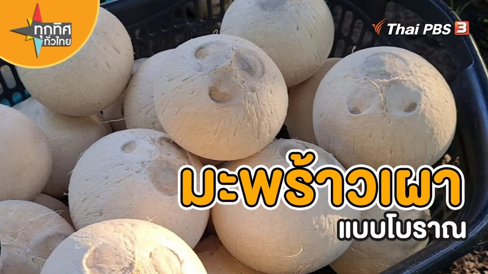 ​ชุดใหญ่ไฟกะพริบ :  มะพร้าวเผาแบบโบราณ