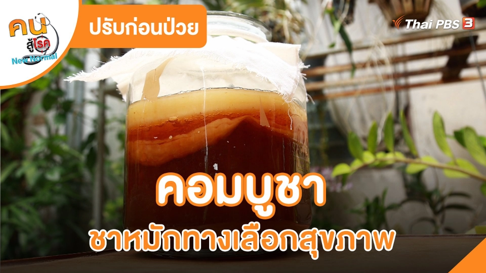 ​ปรับก่อนป่วย : คอมบูชา ชาหมักทางเลือกสุขภาพ