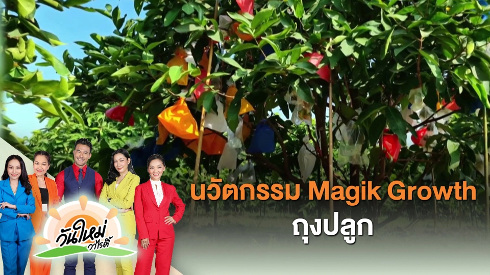 ​ไทยประดิษฐ์คิดเก่ง : นวัตกรรม Magik Growth ถุงปลูก - ถุงห่อผลไม้นอนวูฟเวน