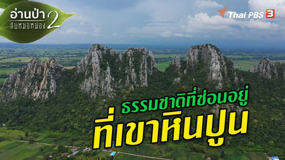 ส่องธรรมชาติ : ธรรมชาติที่ซ่อนอยู่ ที่เขาหินปูน