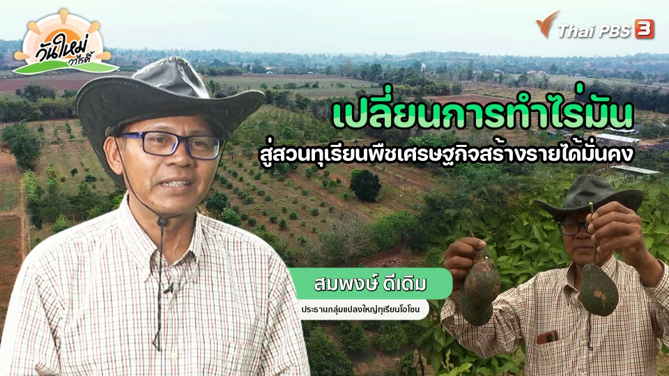 พอดีพอเพียง : เปลี่ยนการทำไร่มัน สู่สวนทุเรียนพืชเศรษฐกิจสร้างรายได้มั่นคง