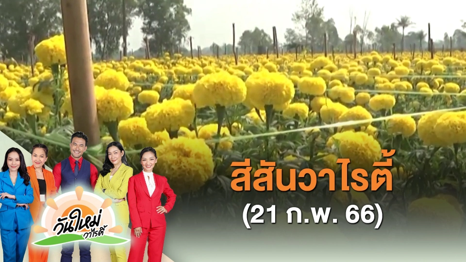 ​สีสันวาไรตี้ (21 ก.พ. 66)