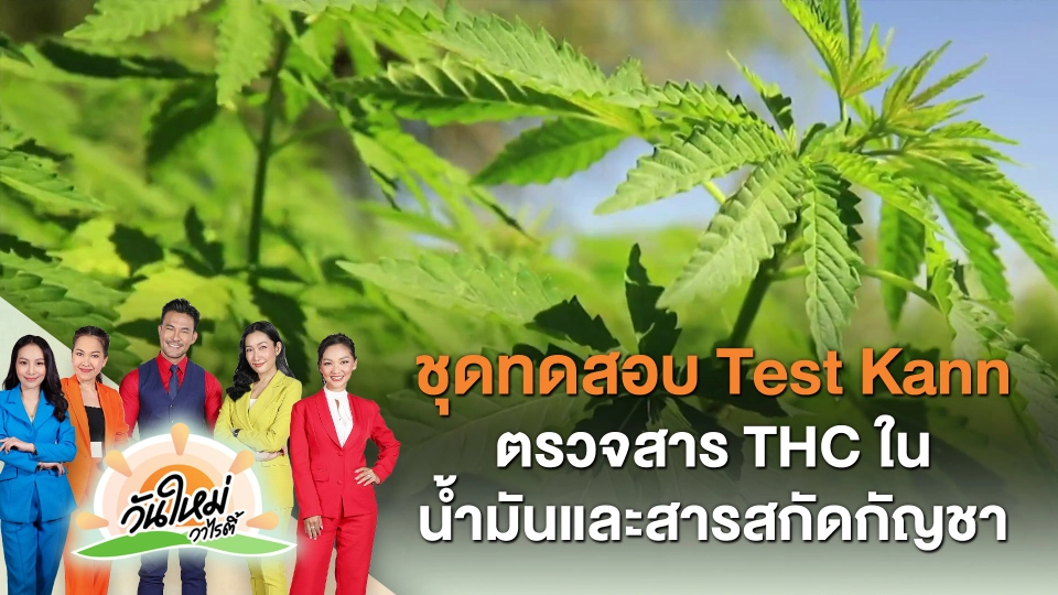 ​ไทยประดิษฐ์คิดเก่ง : ชุดทดสอบ Test Kann ตรวจสาร THC ในน้ำมันและสารสกัดกัญชา