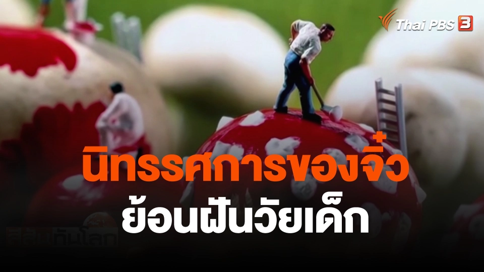 นิทรรศการของจิ๋วย้อนฝันวัยเด็ก