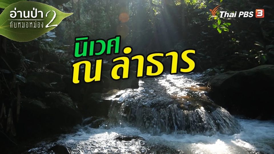 ​ส่องธรรมชาติ : นิเวศ ณ ลำธาร