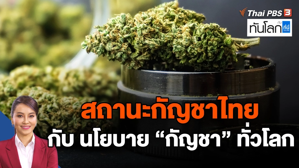 สถานะกัญชาไทย กับ นโยบาย "กัญชา"ทั่วโลก