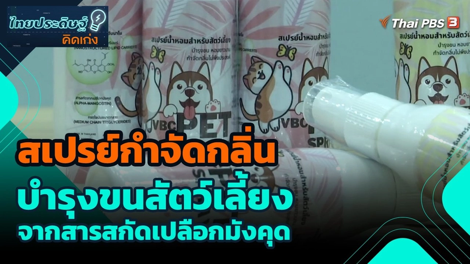 ​ไทยประดิษฐ์คิดเก่ง : สเปรย์กำจัดกลิ่นบำรุงขนสัตว์เลี้ยงจากสารสกัดเปลือกมังคุด