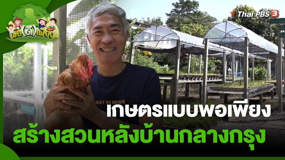 ​พอดีพอเพียง : เกษตรแบบพอเพียง สร้างสวนหลังบ้านกลางกรุง