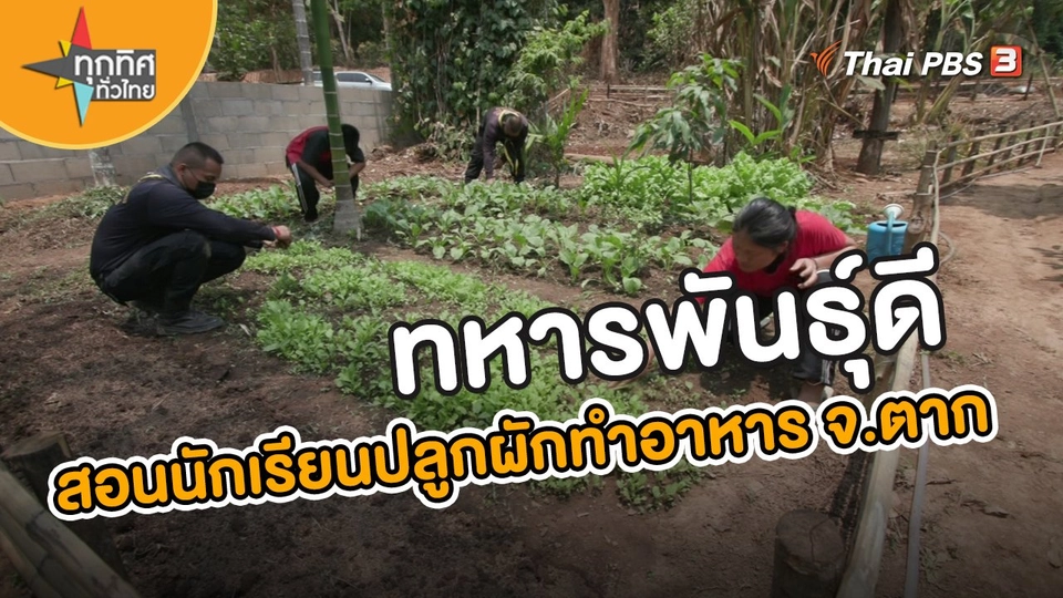 อาชีพทั่วไทย :  ทหารพันธุ์ดีสอนนักเรียนปลูกผักทำอาหารกลางวัน จ.ตาก