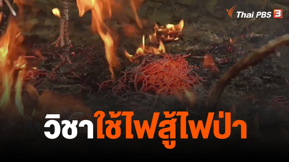 วิชาใช้ไฟสู้ไฟป่า