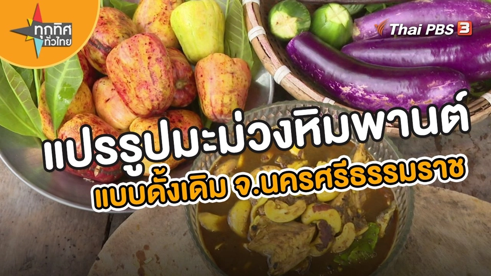 แปรรูปมะม่วงหิมพานต์กินในครัวเรือน จ.นครศรีธรรมราช