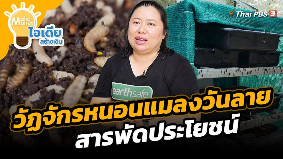 ​Make Money ไอเดียสร้างเงิน : วัฏจักรหนอนแมลงวันลายสารพัดประโยชน์ ลดต้นทุนสร้างรายได้