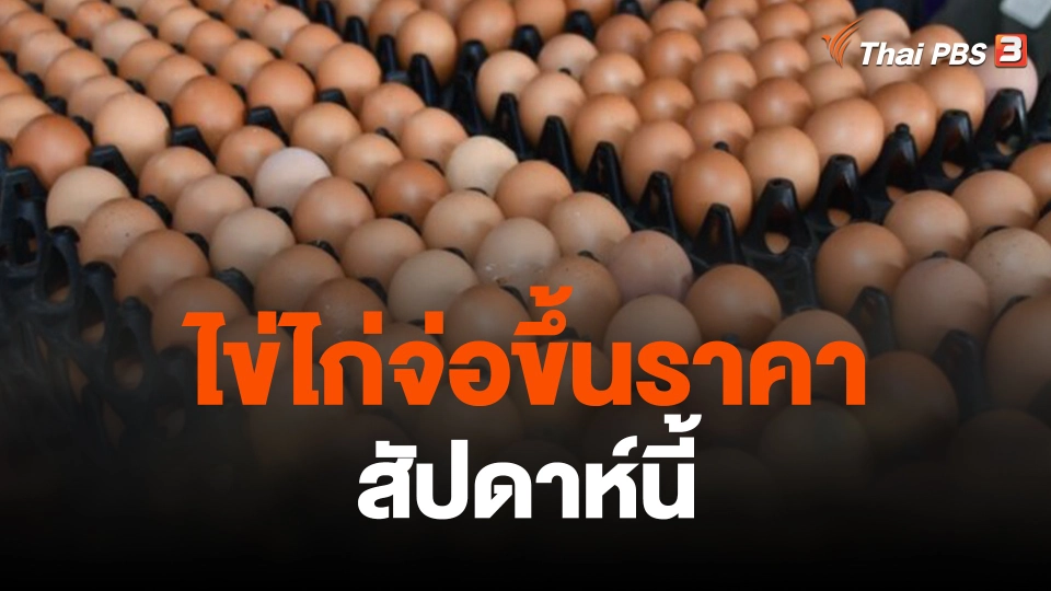 ผู้ค้าส่งแจงไข่ไก่จ่อขึ้นราคาสัปดาห์นี้