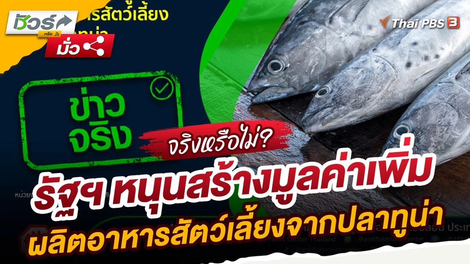 ​ชัวร์หรือมั่ว : รัฐฯ หนุนสร้างมูลค่าเพิ่มผลิตอาหารสัตว์เลี้ยงจากปลาทูน่า