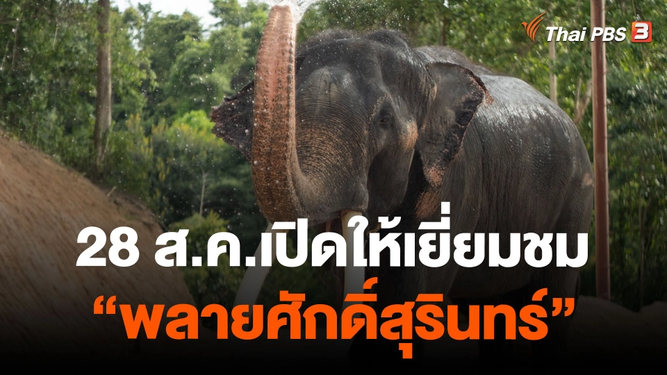 28 ส.ค.เปิดให้เยี่ยมชม "พลายศักดิ์สุรินทร์"