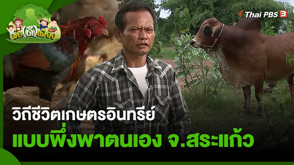 วิถีชีวิตเกษตรอินทรีย์แบบพึ่งพาตนเอง จ.สระแก้ว